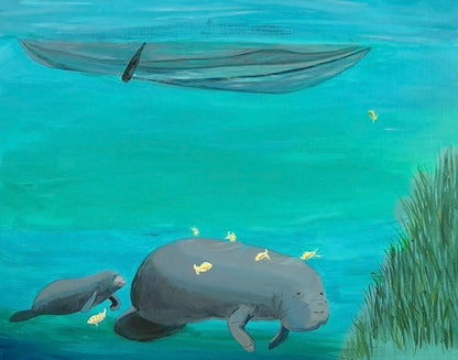 Manatee Baby and Kayak