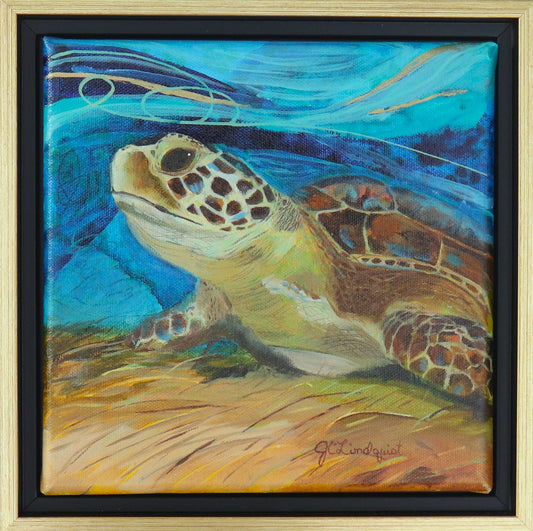 A framed square canvas painting of a sea turtle swimming underwater, with blue water, sandy yellow seabed, and a black and gold floating frame.