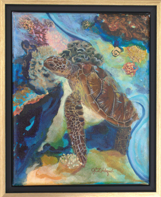 Sea turtle painting with abstract elements representing the reef in colors of blue, pink, gold and brown.  The turtle is looking around the reef.  Painting is in a black and gold floating frame.
