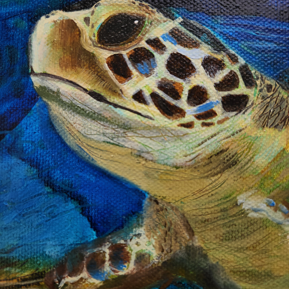 Close-up painting of a sea turtle head and front flipper in blue water, with visible canvas texture and painted details in blue, green, beige, brown, and black.